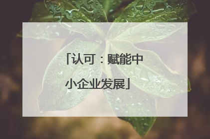 认可：赋能中小企业发展